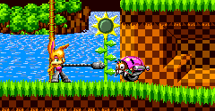 Bunnie Rabbot in Sonic 1 (Hack)