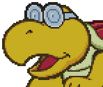 Kent C. Koopa