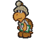 Koopa Archaeologist