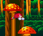 Mushroom Hill Zone (Summer)