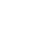 Fonts