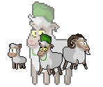 Sheep