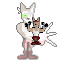 Shotgun Cat (Workout)