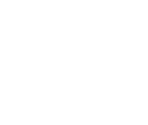 Fonts