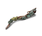 Sturdy Branch
