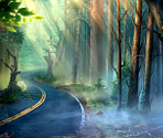Woods