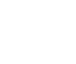 Fonts