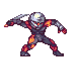 Gray Fox