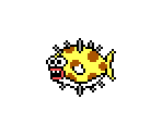 Pufferfish