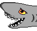 Shark