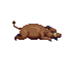 Boar