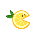 Lemon Slice