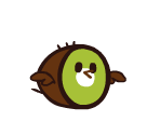 Kiwi Bird