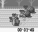 Snails - Racing