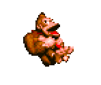 Donkey Kong Country