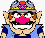 Wario Facial