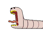 Alaskan Bull Worm