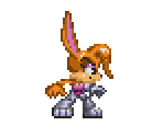 Bunnie (SatAM Design)