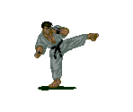 Karate Man