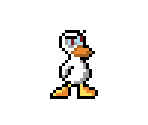 White Duck