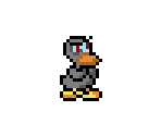 Grey Duck