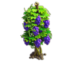 Grapes Tree