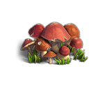 Mushrooms