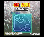 Big Blue - Slalom