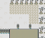 Route 03