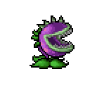 Chomper