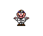 Dr. Mario
