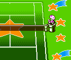 Mini Game Courts