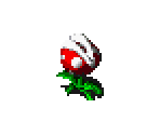 Piranha Plant & Chewy