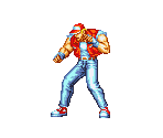 Terry Bogard