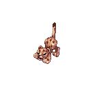 Leopard (Baby)