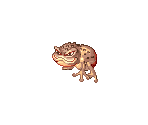 Poisonous Toad