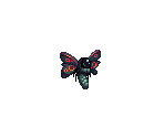 Darth Moth