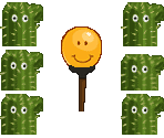 Cactus Maze