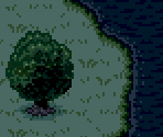 Witch's Island / Dense Woods