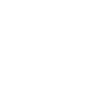 Fonts (Unused)