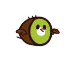 Kiwi Bird