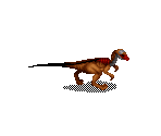 Gallimimus (Adult)