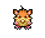 Raticate