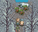 White Forest