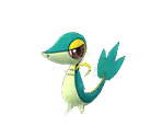 Pokémon (5th Generation, Shiny)