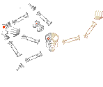 Skeletron & Skeletron Prime (NES-Style)