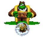 K. Rool