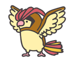 #017 Pidgeotto