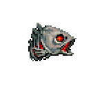 Fish Head