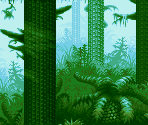 Jungle